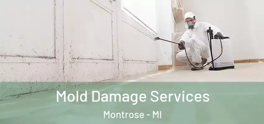  Mold Damage Services Montrose - MI
