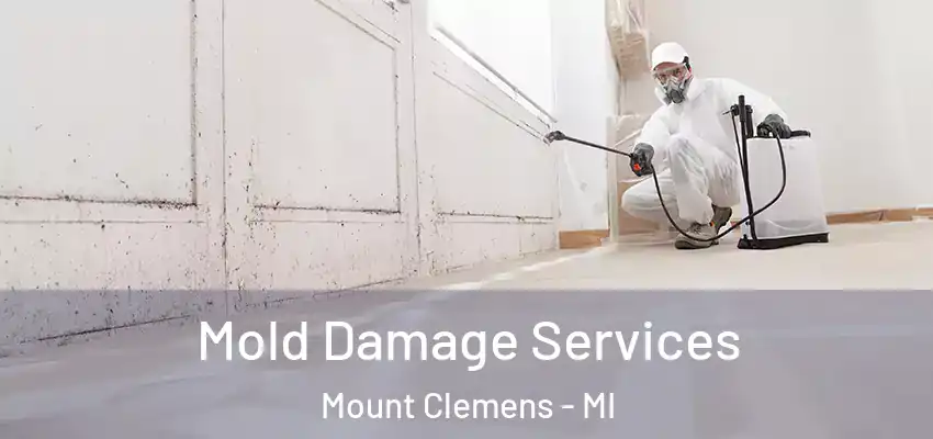  Mold Damage Services Mount Clemens - MI