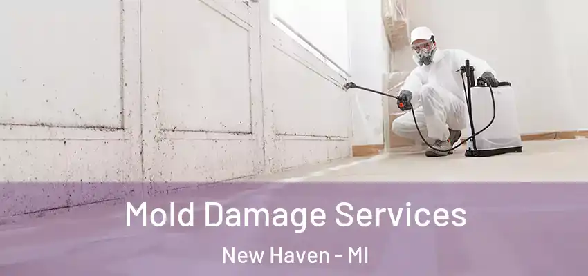  Mold Damage Services New Haven - MI