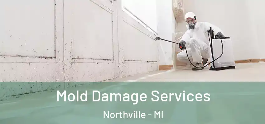  Mold Damage Services Northville - MI
