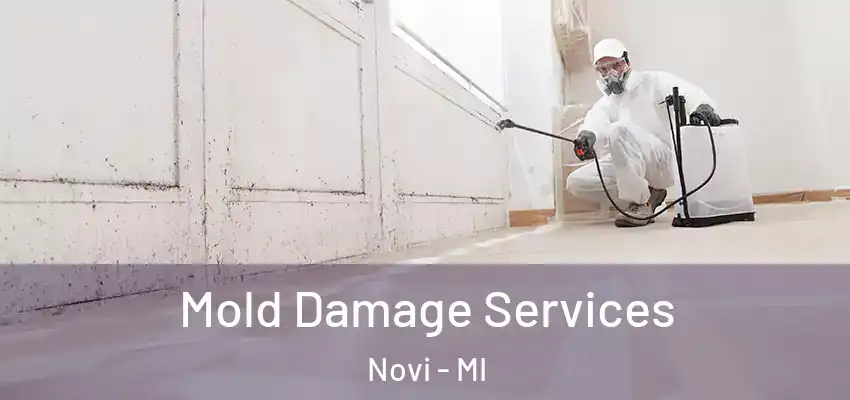  Mold Damage Services Novi - MI