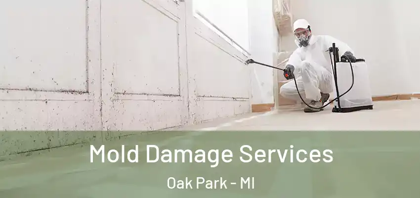  Mold Damage Services Oak Park - MI
