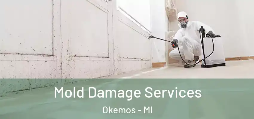 Mold Damage Services Okemos - MI