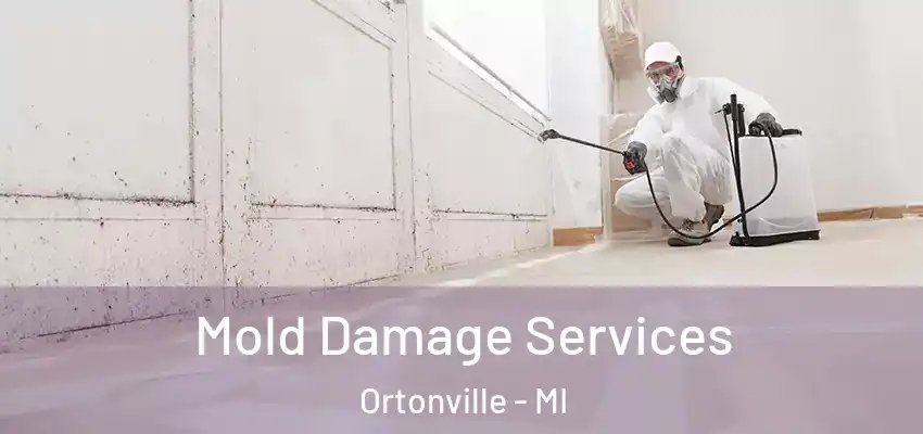  Mold Damage Services Ortonville - MI