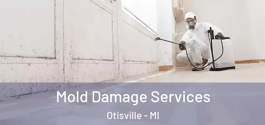  Mold Damage Services Otisville - MI