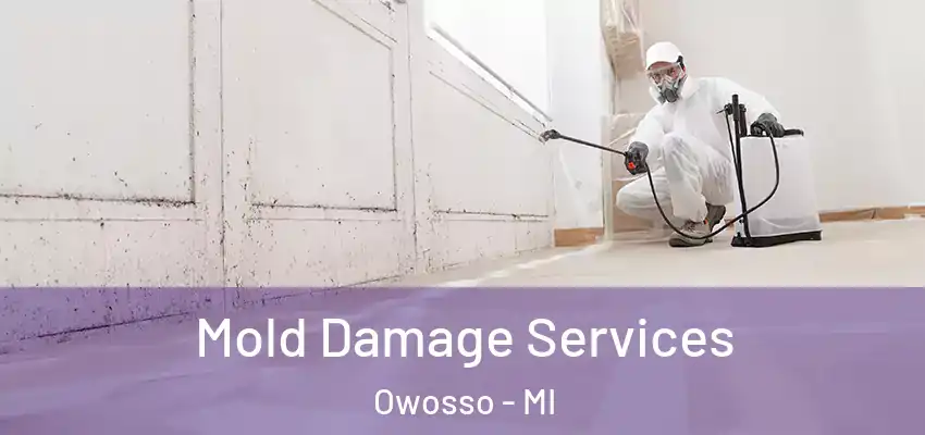 Mold Damage Services Owosso - MI