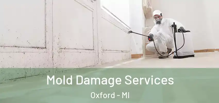  Mold Damage Services Oxford - MI