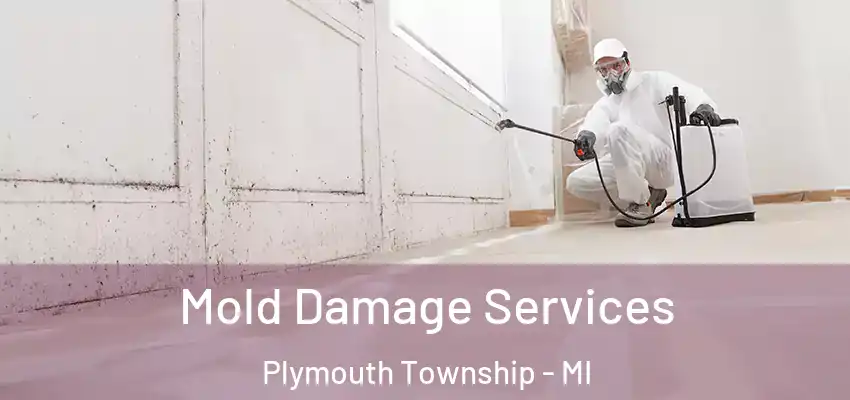  Mold Damage Services Plymouth Township - MI