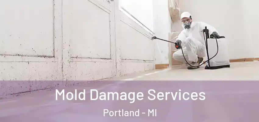  Mold Damage Services Portland - MI