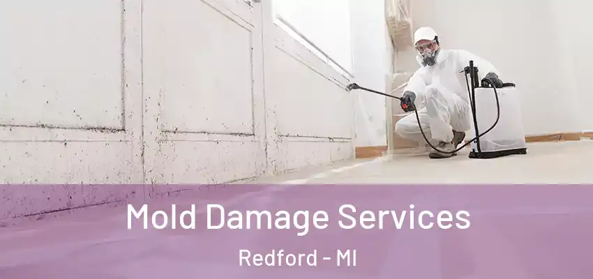  Mold Damage Services Redford - MI