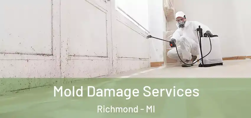  Mold Damage Services Richmond - MI