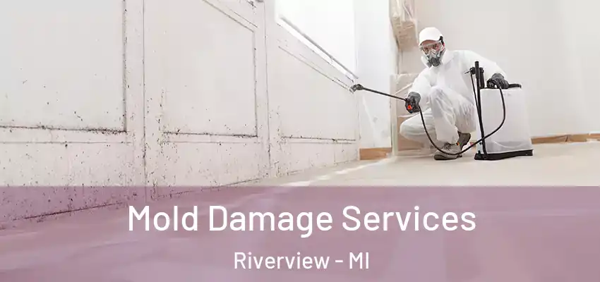 Mold Damage Services Riverview - MI