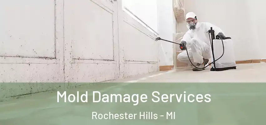  Mold Damage Services Rochester Hills - MI