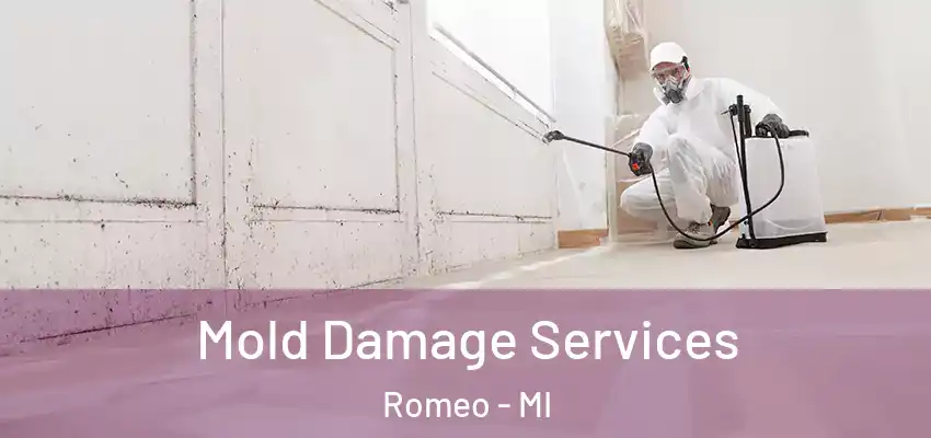  Mold Damage Services Romeo - MI