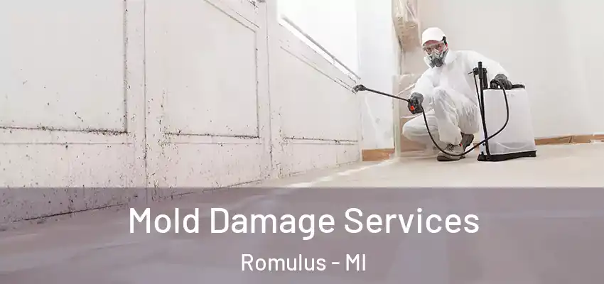 Mold Damage Services Romulus - MI