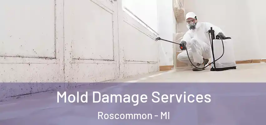 Mold Damage Services Roscommon - MI