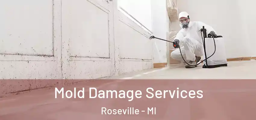  Mold Damage Services Roseville - MI