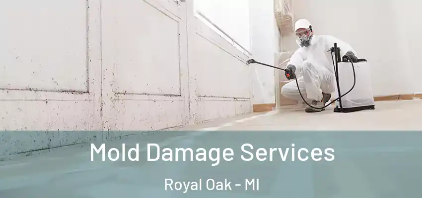  Mold Damage Services Royal Oak - MI