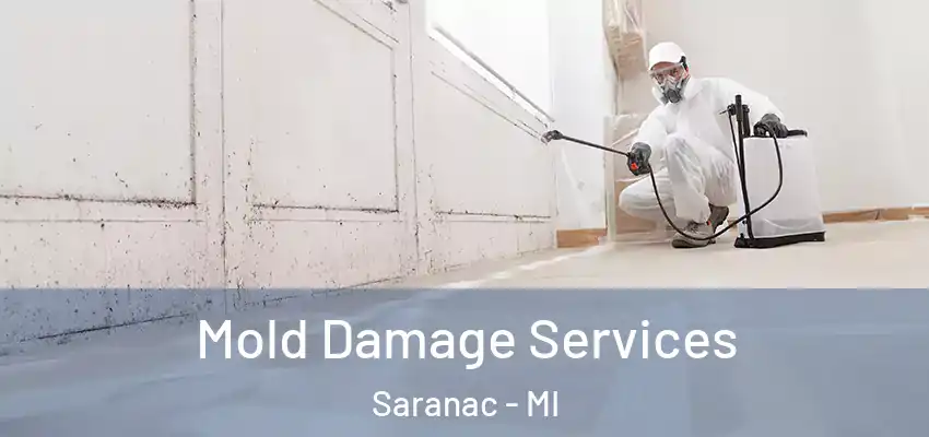 Mold Damage Services Saranac - MI