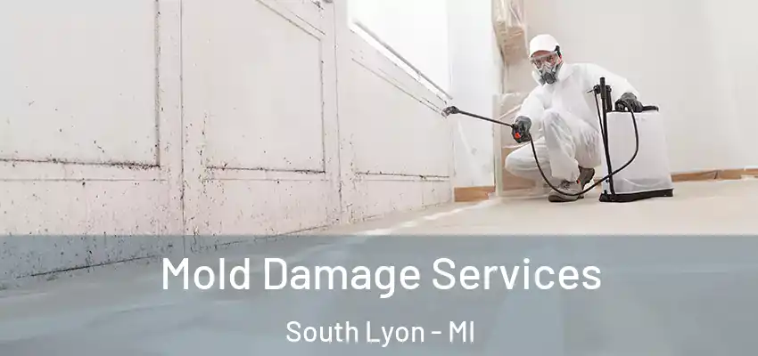  Mold Damage Services South Lyon - MI