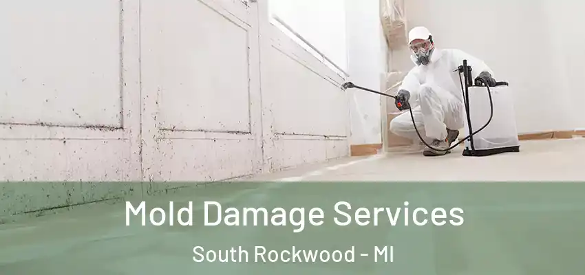  Mold Damage Services South Rockwood - MI