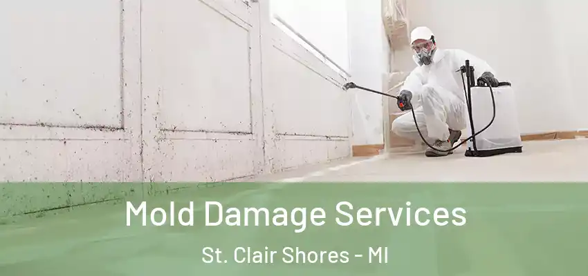  Mold Damage Services St. Clair Shores - MI