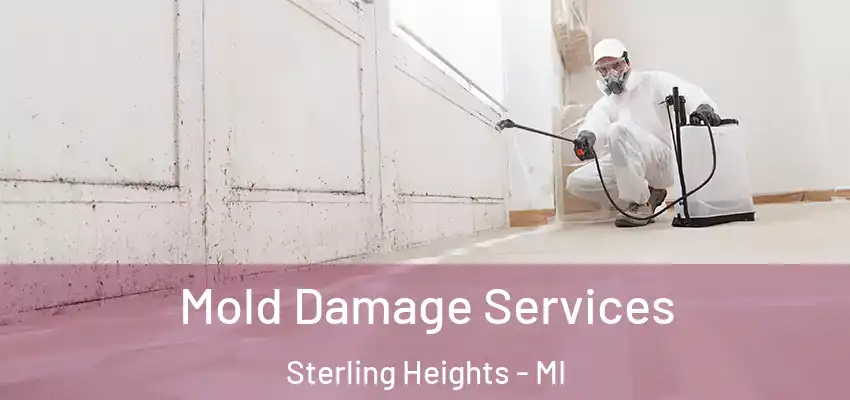  Mold Damage Services Sterling Heights - MI