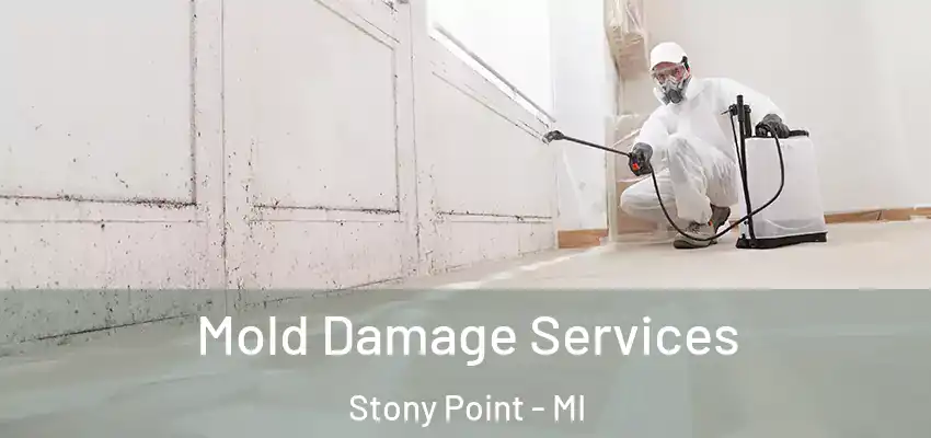  Mold Damage Services Stony Point - MI