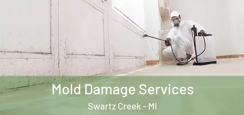  Mold Damage Services Swartz Creek - MI