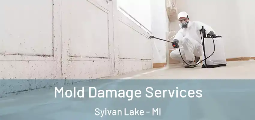  Mold Damage Services Sylvan Lake - MI