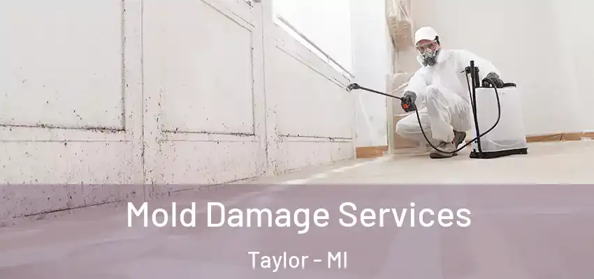 Mold Damage Services Taylor - MI