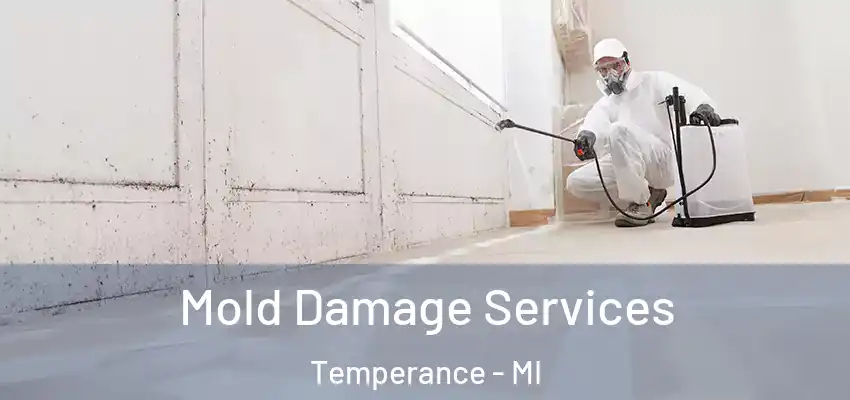  Mold Damage Services Temperance - MI