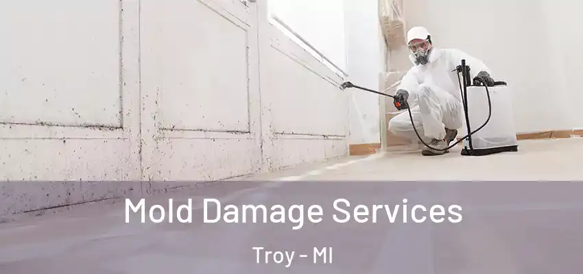 Mold Damage Services Troy - MI