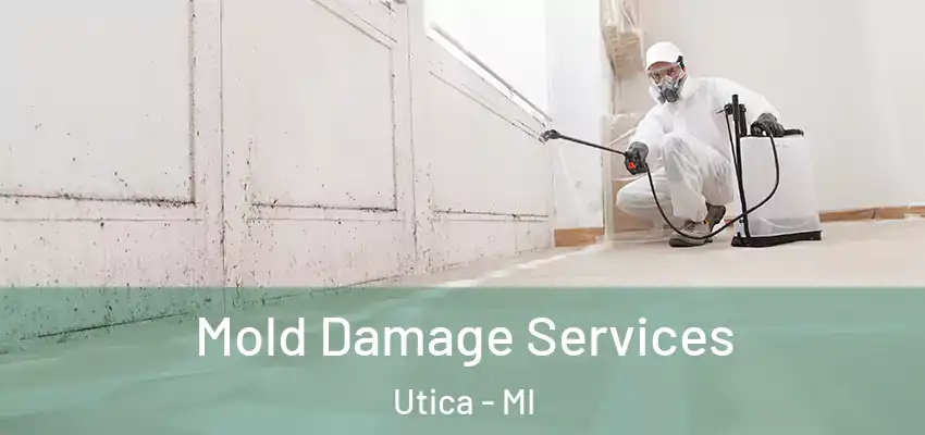  Mold Damage Services Utica - MI