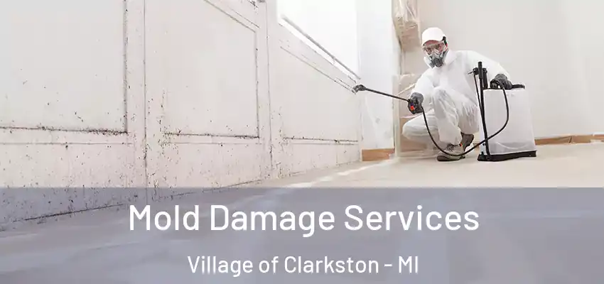  Mold Damage Services Village of Clarkston - MI