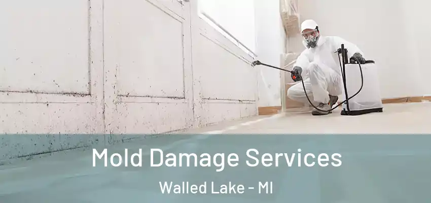  Mold Damage Services Walled Lake - MI