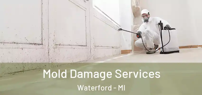  Mold Damage Services Waterford - MI