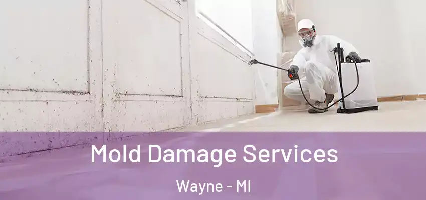 Mold Damage Services Wayne - MI