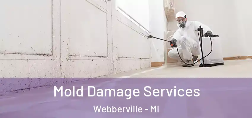  Mold Damage Services Webberville - MI
