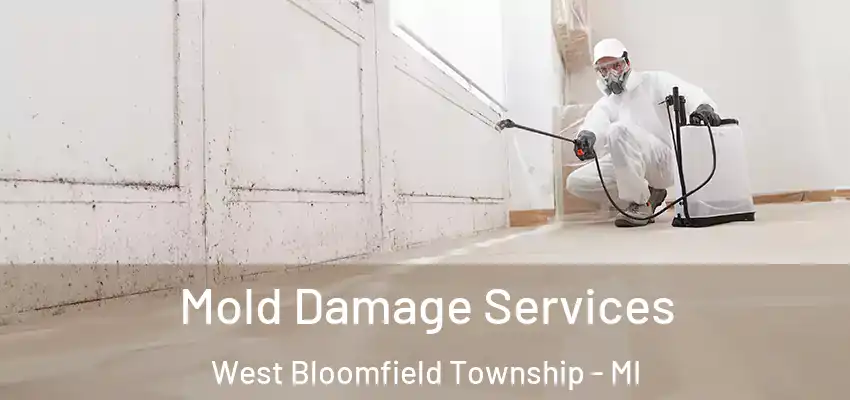  Mold Damage Services West Bloomfield Township - MI
