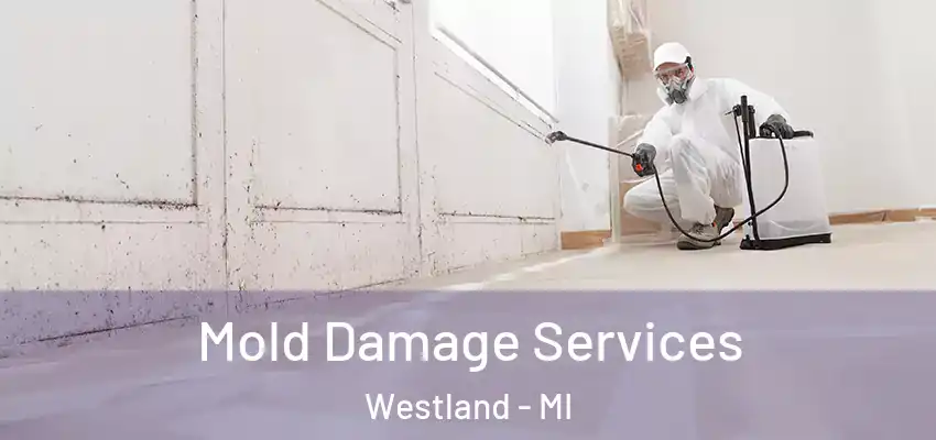  Mold Damage Services Westland - MI