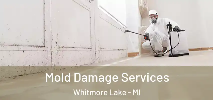  Mold Damage Services Whitmore Lake - MI