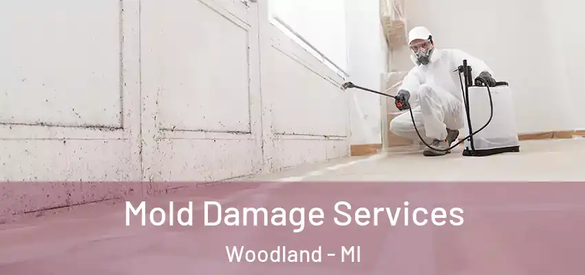  Mold Damage Services Woodland - MI