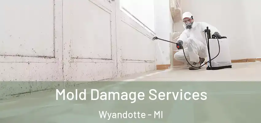  Mold Damage Services Wyandotte - MI