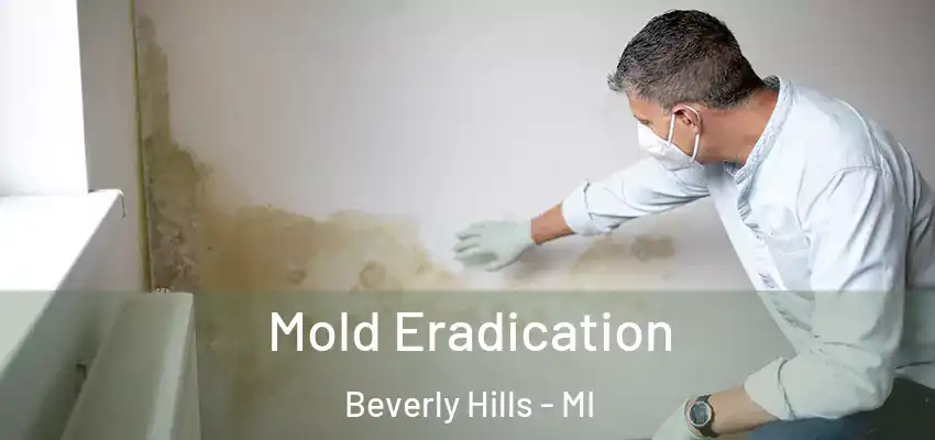  Mold Eradication Beverly Hills - MI
