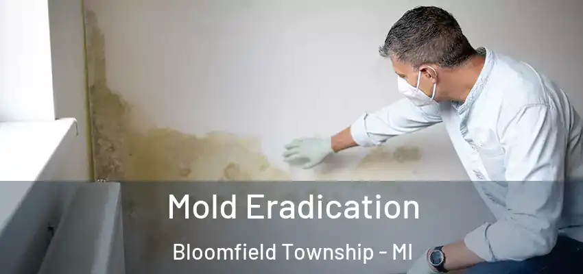  Mold Eradication Bloomfield Township - MI