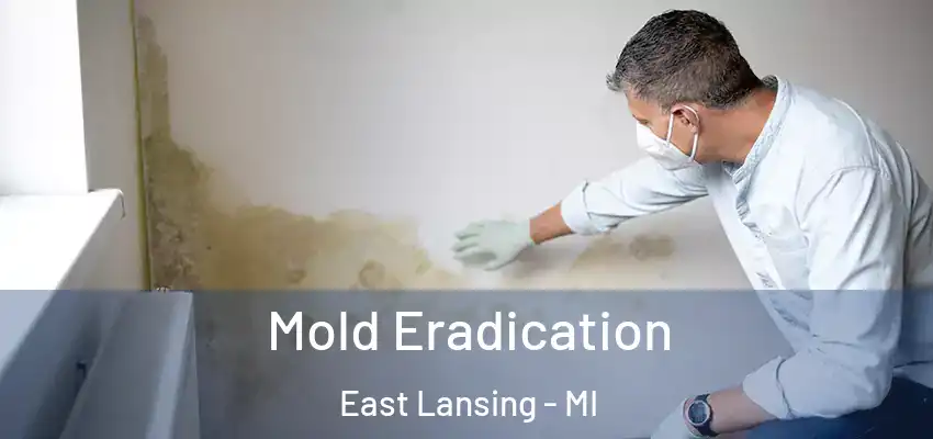  Mold Eradication East Lansing - MI