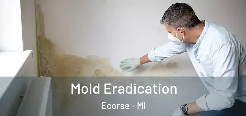  Mold Eradication Ecorse - MI