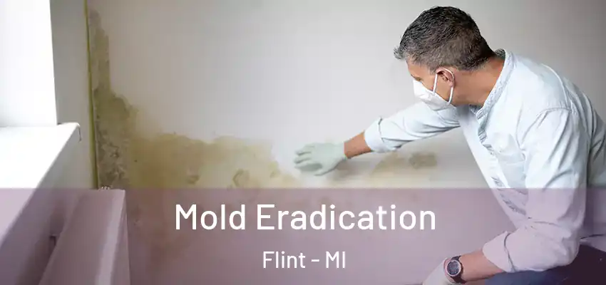  Mold Eradication Flint - MI