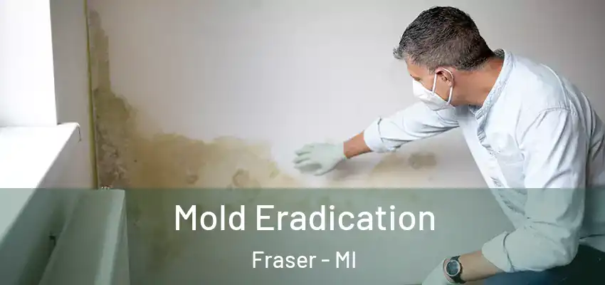  Mold Eradication Fraser - MI